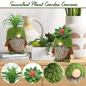 Succulent Gnomes Spring Green Plants Gnomes Swedish Plush Tiered Tray Decoration Tomte Doll Decor Cacti Nordic Dwarf Spring Summer Home Stuffed Gnomes Collection Garden Gift for Her Him Plant Lover