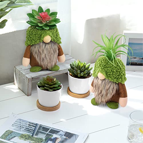 Succulent Gnomes Spring Green Plants Gnomes Swedish Plush Tiered Tray Decoration Tomte Doll Decor Cacti Nordic Dwarf Spring Summer Home Stuffed Gnomes Collection Garden Gift for Her Him Plant Lover