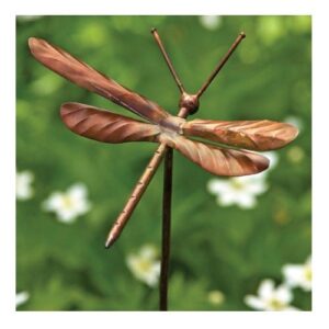 Ancient Graffiti Flamed Copper Dragonfly Garden Ornament