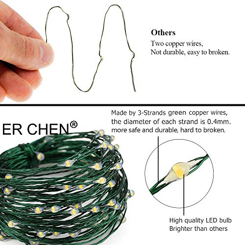 ER CHEN Dimmable LED String Lights Plug in, 100ft 300 LED Waterproof Fairy Lights with Remote, Indoor/Outdoor Copper Wire Christmas Lights for Bedroom, Patio, Garden, Yard (Green Wire, Blue)