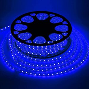 buyagn rope lights outdoor, 110v 100ft flat led strip lights waterproof kit for indoor/outdoor decorations, waterproof led lights for outside, backyards garden, christmas decorations(sapphire)