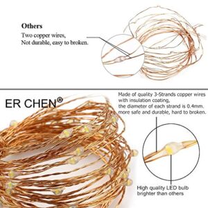 ER CHEN Fairy Lights Plug in, 99Ft/30M 300 LED Starry String Lights Outdoor/Indoor Waterproof Copper Wire Decorative Lights for Bedroom, Patio, Garden, Party, Christmas Tree (Purple)