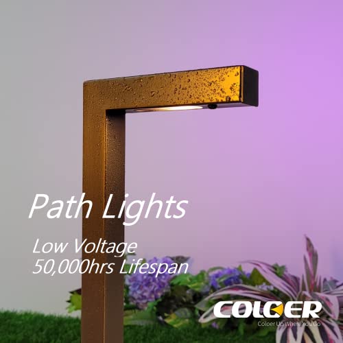 COLOER Die-cast Brass 12V LED Low Voltage Landscape Lighting Kit, IP65 Waterproof Outdoor Lights for Yard, Spot Light and Garden Path Lights Outside (4 Sootlight(101B)+2 Pathlight(603B) with Bulb)