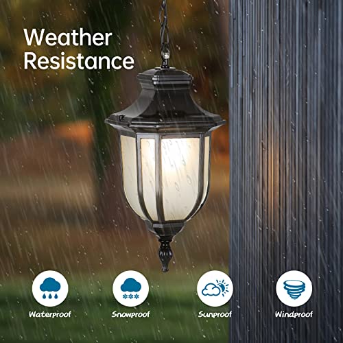 DAHGEO Outdoor Pendant Lights Waterproof Hanging Lights Fixture Corridor Courtyard Decoration Ceiling Lamp Aisle Villa Garden Pavilion Pendant Lantern Grape Frame Hanging Lamp