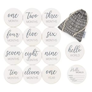 natural baby milestone discs – white stain wood milestone disc set with bag and hello world announcement card – 13 wooden milestones cards, newborn monthly first year picture props, 1-12 months