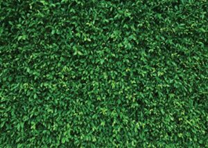 lywygg 8x6ft green leaves photography backdrops mmicrofiber nature backdrop birthday background for birthday party seamless photo booth prop backdrop cp-87-0806