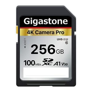 gigastone 256gb sd card v30 sdxc memory card high speed 4k ultra hd uhd video compatible with canon nikon sony pentax kodak olympus panasonic digital camera, with 1 mini case