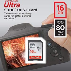 SanDisk Ultra 16GB Class 10 SDHC UHS-I Memory Card up to 80MB/s (SDSDUNC-016G-GN6IN)