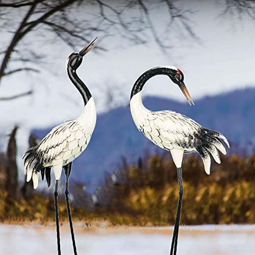 chisheen Garden Crane Statues Outdoor Heron Red Crowned Crane Metal Yard Art Sculpture,Set of 2