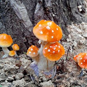 3 Pack Fairy Garden Miniatures Decoration Orange Mushroom Resin DIY Garden Ornament Micro Landscape Mini Dollhouse