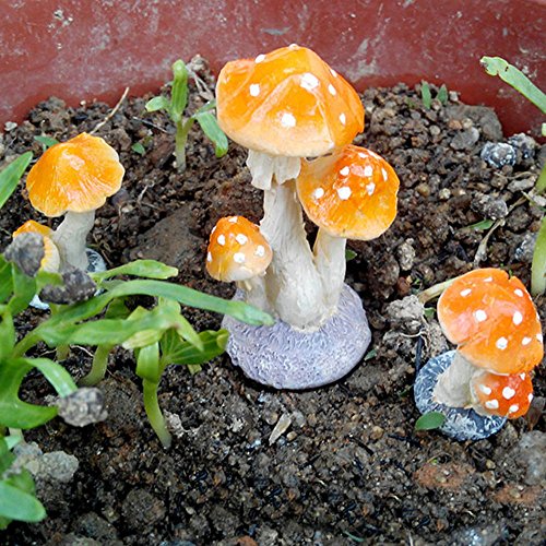 3 Pack Fairy Garden Miniatures Decoration Orange Mushroom Resin DIY Garden Ornament Micro Landscape Mini Dollhouse