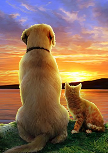 Toland Home Garden 1112153 Sunset Pals Cat Flag 12x18 Inch Double Sided Cat Garden Flag for Outdoor House Dog Flag Yard Decoration