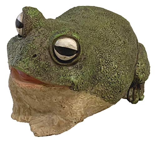 Top Brass Chunky Frog Key Hider Figurine - Cute Toad Garden Statue with Secret Compartment - Indoor / Outdoor