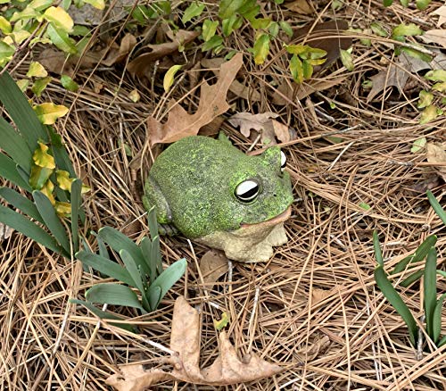 Top Brass Chunky Frog Key Hider Figurine - Cute Toad Garden Statue with Secret Compartment - Indoor / Outdoor