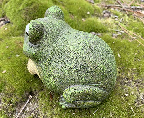 Top Brass Chunky Frog Key Hider Figurine - Cute Toad Garden Statue with Secret Compartment - Indoor / Outdoor