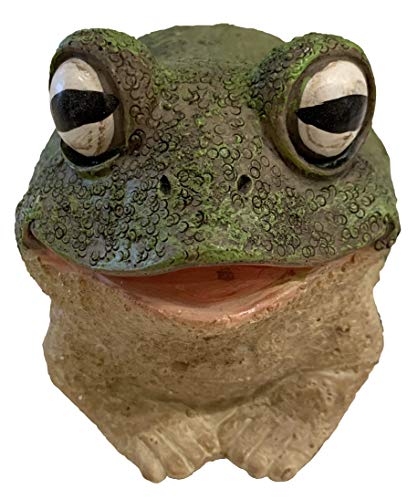 Top Brass Chunky Frog Key Hider Figurine - Cute Toad Garden Statue with Secret Compartment - Indoor / Outdoor