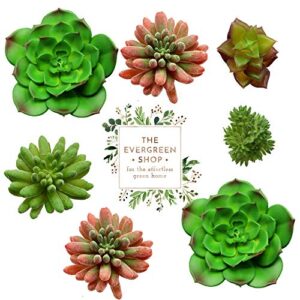 the evergreen shop 7 artificial indoor plants multi sized | realistic faux succulents for arrangements | decorative artificial plants | flocked and unflocked | unpotted | home decor