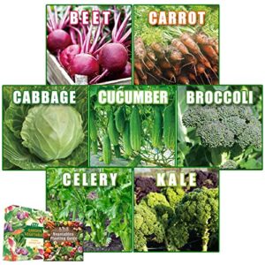 heirloom vegetable seeds variety 7 pack — includes beet, broccoli, cabbage, carrot, celery, cucumber and kale — vegetable garden starter kit (7 variety a)