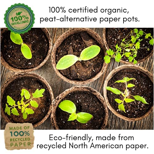 Clovers Garden Organic Recycled Paper Seed Starter Pots - 100% Biodegradable Peat-Free Pots for Seedlings - 60 (3.5" Round) Germination Pots with 24 Markers - Eco Friendly Ideal for Organic Gardening