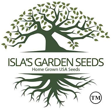 Henderson Baby Lima Bean Seeds for Planting, 30+ Heirloom Seeds Per Packet, (Isla's Garden Seeds), Non GMO Seeds, Botanical Name: Phaseolus lunatus, Great Yields, Excellent Garden Gift