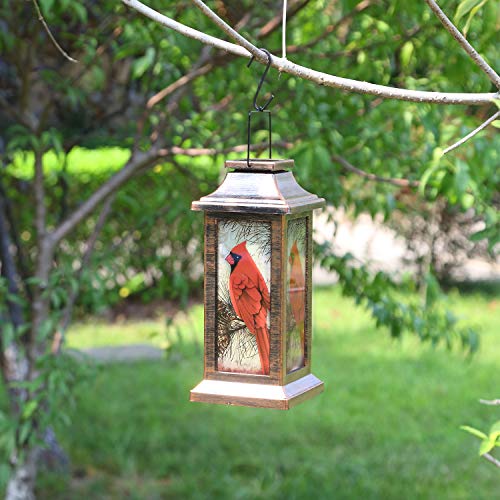 Outdoor Solar Lantern Hanging Solar Lantern Waterproof Lamp Outdoor Garden Decorative,Red Bird,10" H