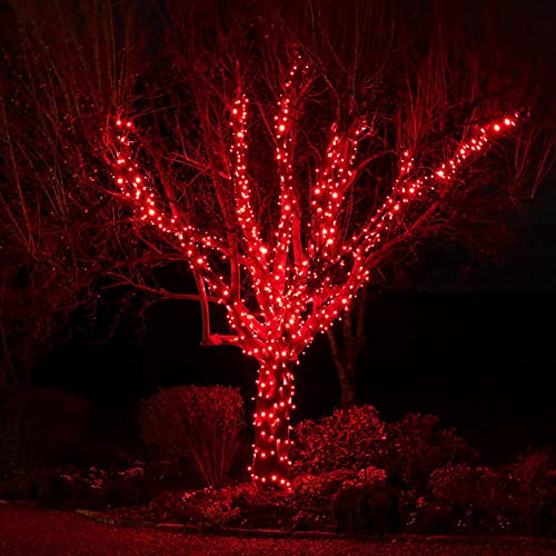 kemooie 500 LED Red Valentines Day Lights, 164FT 8 Twinkle Modes and Memory Function Plug in Waterproof Tree Lights for Garden Tree Outdoor Indoor Valentines Decorations (Red)