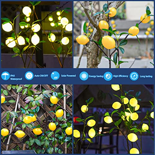 TONULAX Solar Garden Lights - Solar Lemon Tree Lights with Larger Solar Capacity, Solar Decorative Lights Outdoor for Pathway, Patio, Front Yard Decoration, Super Realistic Lemon(2 Pack)