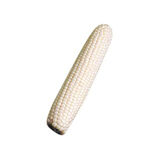 Sweet Corn Seeds - Silver King F1 Sweet Corn Variety Seeds - Insect Guard Treated Vegetable Seeds - 1/2-Pound Package