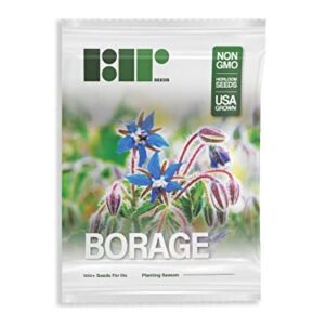 Borage Seeds - Starflower - Heirloom Non-GMO Herb Seeds for Planting an Herb Garden - 100 Seeds - Borago Officinalis - by RDR Seeds