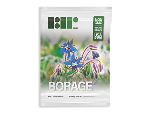 Borage Seeds - Starflower - Heirloom Non-GMO Herb Seeds for Planting an Herb Garden - 100 Seeds - Borago Officinalis - by RDR Seeds