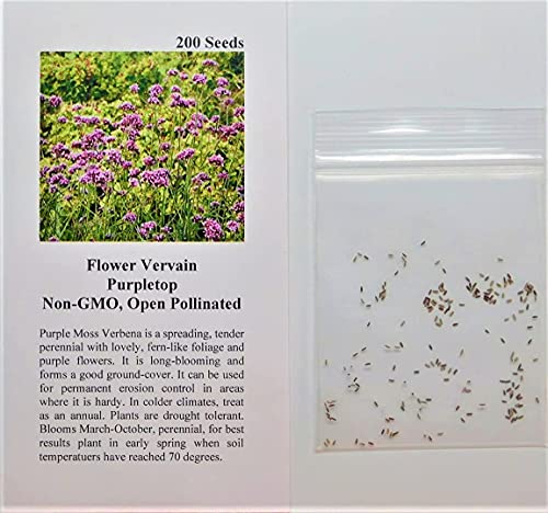 David's Garden Seeds Flower Vervain Purpletop FBA-00088 (Purple) 200 Non-GMO, Heirloom Seeds