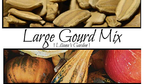 Gourd Seeds - Large Mix - Non-GMO Heirloom Garden Seeds - Booklet Included - Liliana's Garden