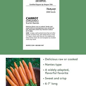 Burpee Scarlet Nantes Carrot Seeds 3000 seeds