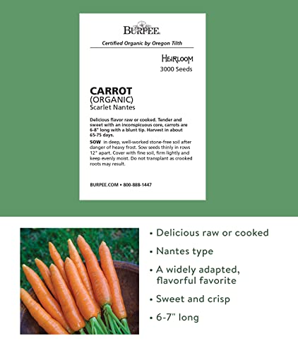 Burpee Scarlet Nantes Carrot Seeds 3000 seeds