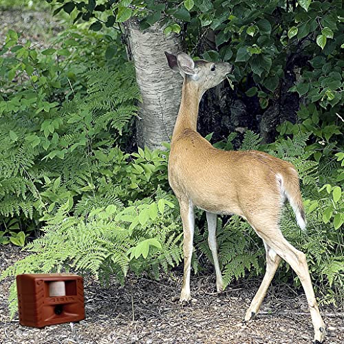 Bird-X Deer Gard Ultrasonic Motion-Activated, Covers 4,000 sq. ft.