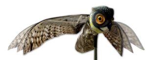 bird-x prowler fake owl moving wings-realistic bird scare, hawk, pigeon, and squirrel repellent, pest deterrent decoy black small