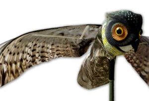 Bird-X Prowler Fake Owl Moving Wings-Realistic Bird Scare, Hawk, Pigeon, and Squirrel Repellent, Pest Deterrent Decoy Black Small