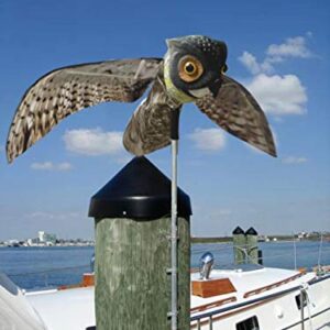 Bird-X Prowler Fake Owl Moving Wings-Realistic Bird Scare, Hawk, Pigeon, and Squirrel Repellent, Pest Deterrent Decoy Black Small