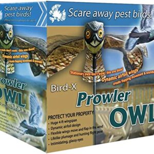 Bird-X Prowler Fake Owl Moving Wings-Realistic Bird Scare, Hawk, Pigeon, and Squirrel Repellent, Pest Deterrent Decoy Black Small