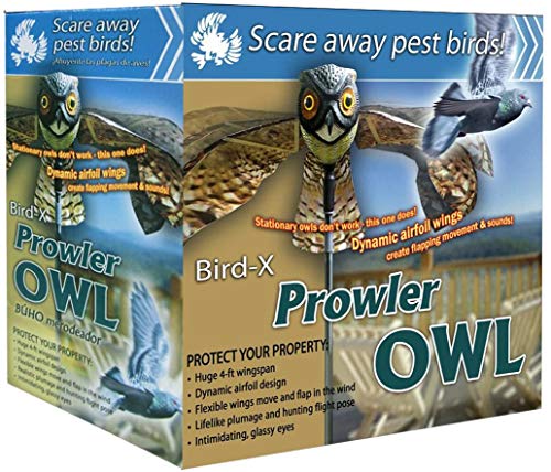 Bird-X Prowler Fake Owl Moving Wings-Realistic Bird Scare, Hawk, Pigeon, and Squirrel Repellent, Pest Deterrent Decoy Black Small