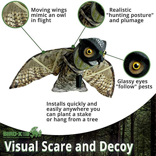 Bird-X Prowler Fake Owl Moving Wings-Realistic Bird Scare, Hawk, Pigeon, and Squirrel Repellent, Pest Deterrent Decoy Black Small