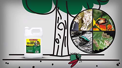 Compare-N-Save Systemic Tree and Shrub Insect Drench - 75333, 1 Gallon