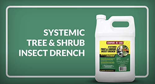 Compare-N-Save Systemic Tree and Shrub Insect Drench - 75333, 1 Gallon