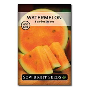 sow right seeds – orange tendersweet watermelon seed for planting – non-gmo heirloom packet with instructions to plant a home vegetable garden