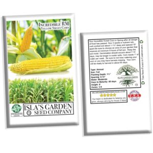 "Incredible" RM Sweet Yellow Corn, 75 Heirloom Seeds, Sweet Incredible Flavor! Fantastic Addition to Your Home Garden! (Isla's Garden Seeds),90% Germination Rates, Non GMO Seeds