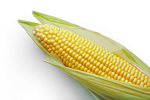 "Incredible" RM Sweet Yellow Corn, 75 Heirloom Seeds, Sweet Incredible Flavor! Fantastic Addition to Your Home Garden! (Isla's Garden Seeds),90% Germination Rates, Non GMO Seeds