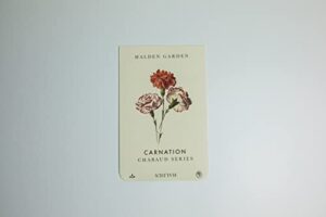 halden garden chabaud carnation set-including the carnation ‘chabaud aurora’ seeds-which makes this the ideal cut flower mix