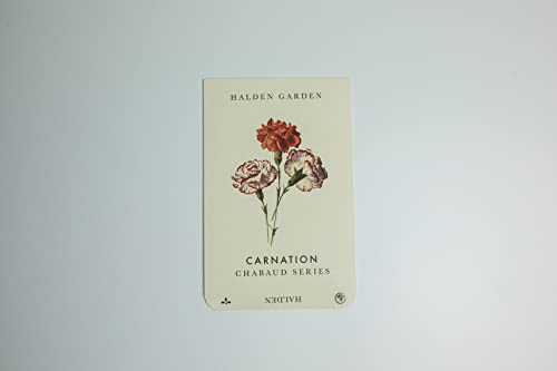 Halden Garden Chabaud Carnation Set-Including The Carnation ‘Chabaud Aurora’ Seeds-which Makes This The Ideal Cut Flower Mix