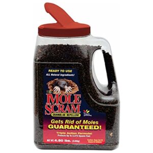 epic mole scram outdoor all natural granular mole digging animal flavor deterrent repellent lawn, yard, and garden protector, 4.5 pound container