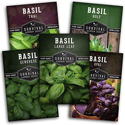 Survival Garden Seeds Basil Collection Seed Vault - Holy Basil, Genovese Basil, Large Leaf Basil, Opal Basil, and Thai Basil - Non-GMO Heirloom Seeds for Planting Delicious Herbs